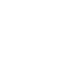 valentino Image